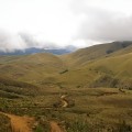 Local environmental project receives support from Ecuadorian expats living in the U.S.