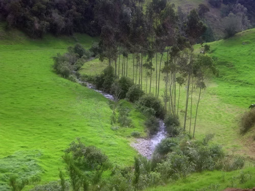 The FCT riverine reforestation project is creating wooded eco-corridors along rivers like this one.